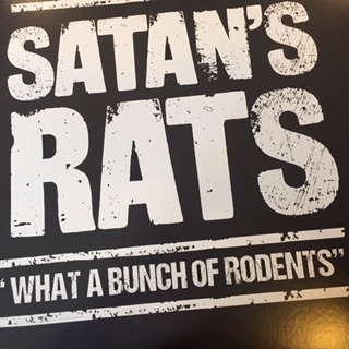 What A Bunch Of Rodents