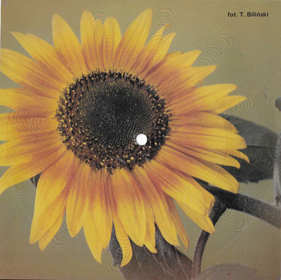 Beds Too Big Without You