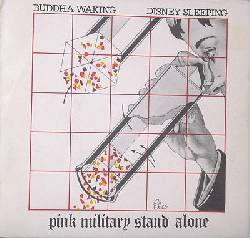 Buddha Waking Disney Sleeping