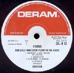 For Girls Who Grow Plump In The Night