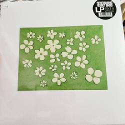 Performing Ferret Band