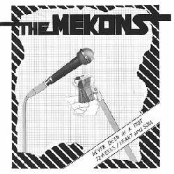 Never Been In A Riot