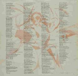 Diminished Responsibility - inner bag only