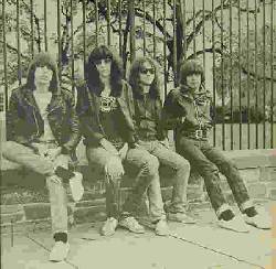 Leave Home - inner bag only