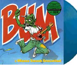 Wanna Smash Sensation