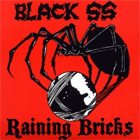 Black SS / Raining Bricks