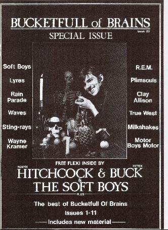 Bucketfull Of Brains No. 23 With Flexi