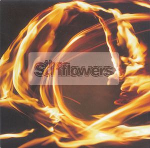 It's Only Everything